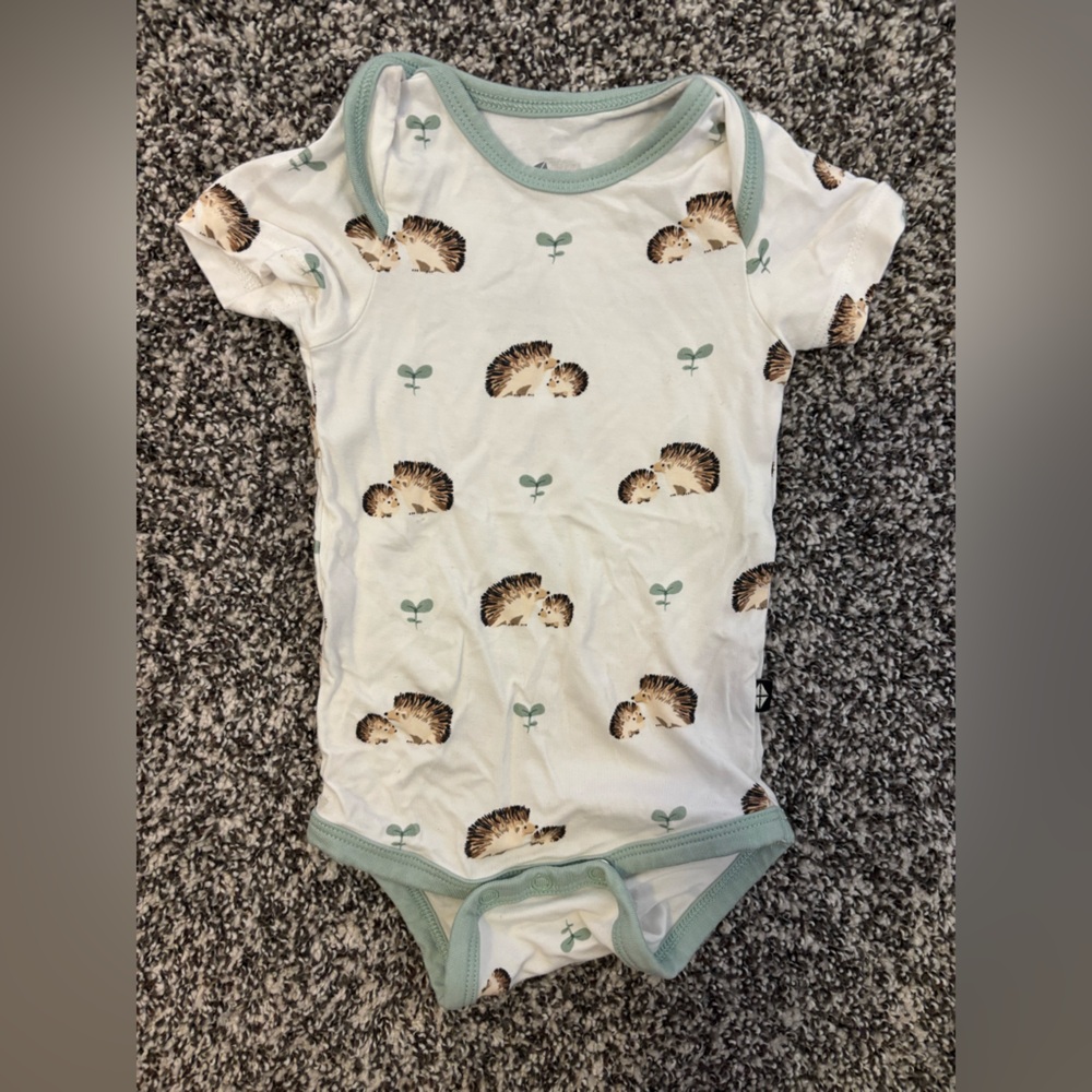 Kyte BABY Hedgehog Print Onesie with Mint Trim